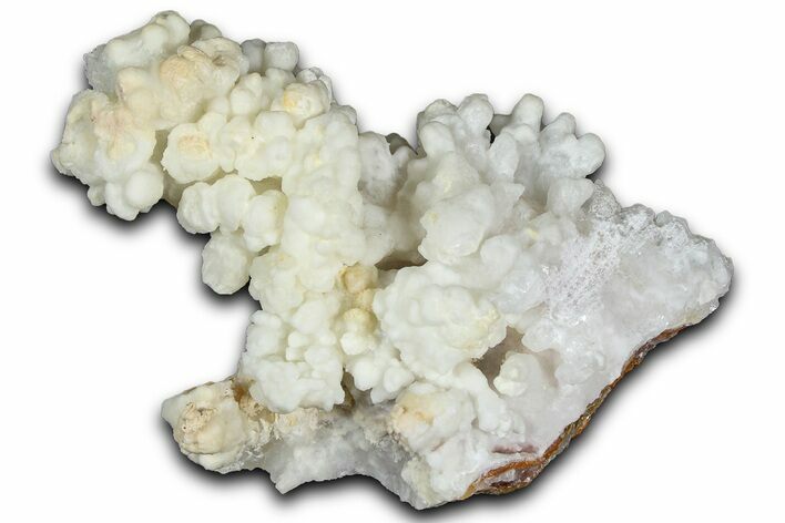 Sparkling Calcite/Aragonite Stalactite Formation - China #364546